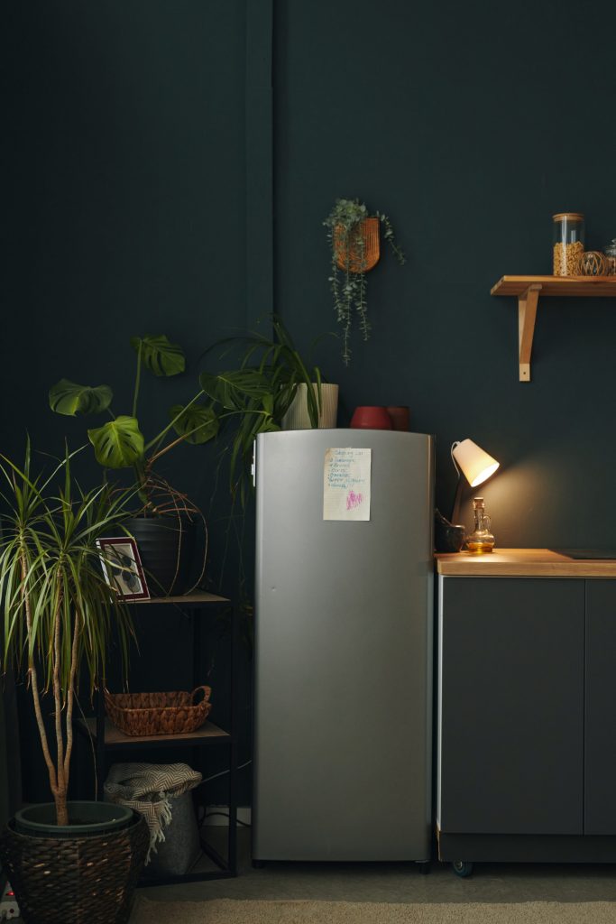 Interior with refrigerator in teal.